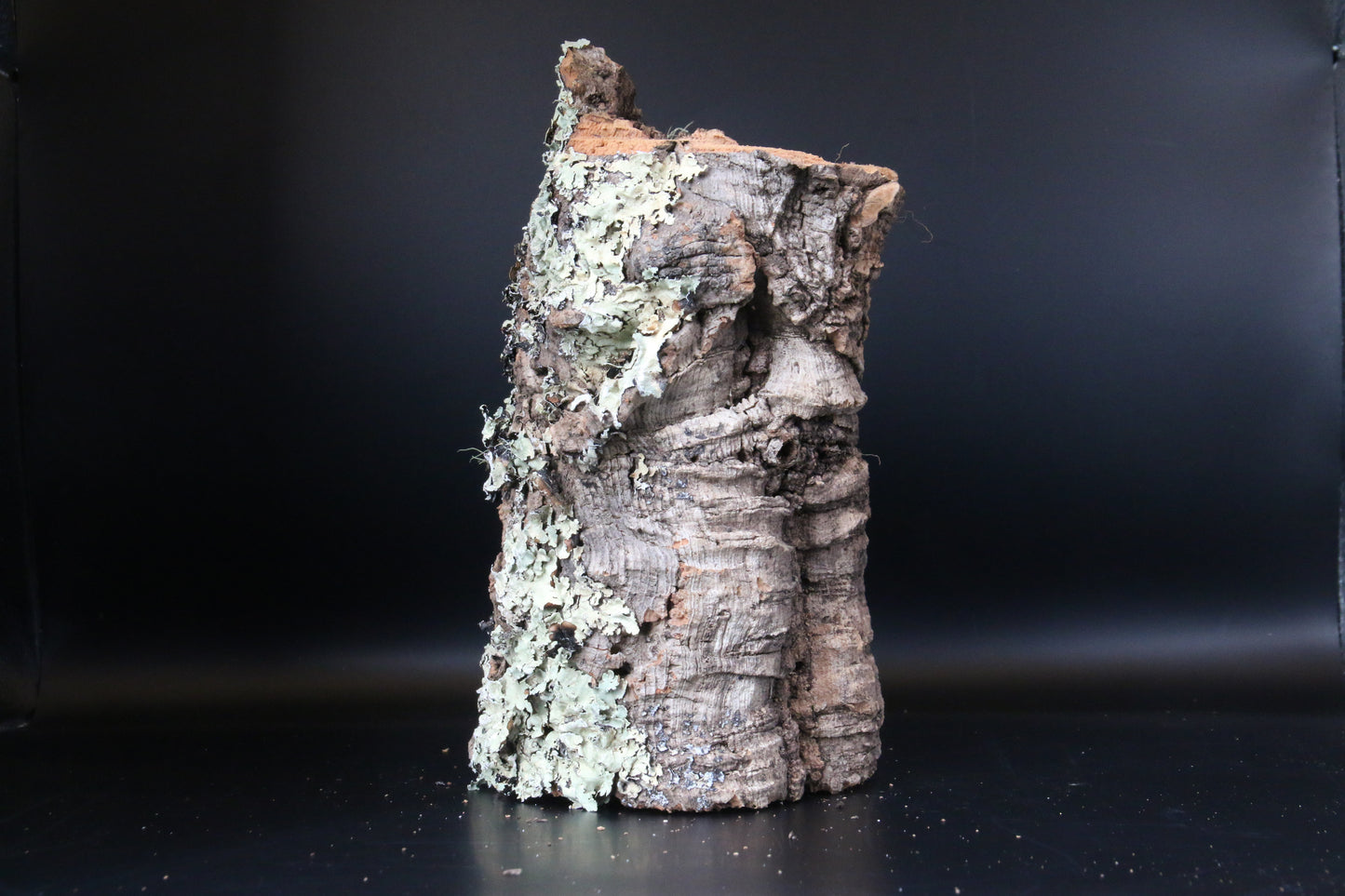 Cork Bark Tube