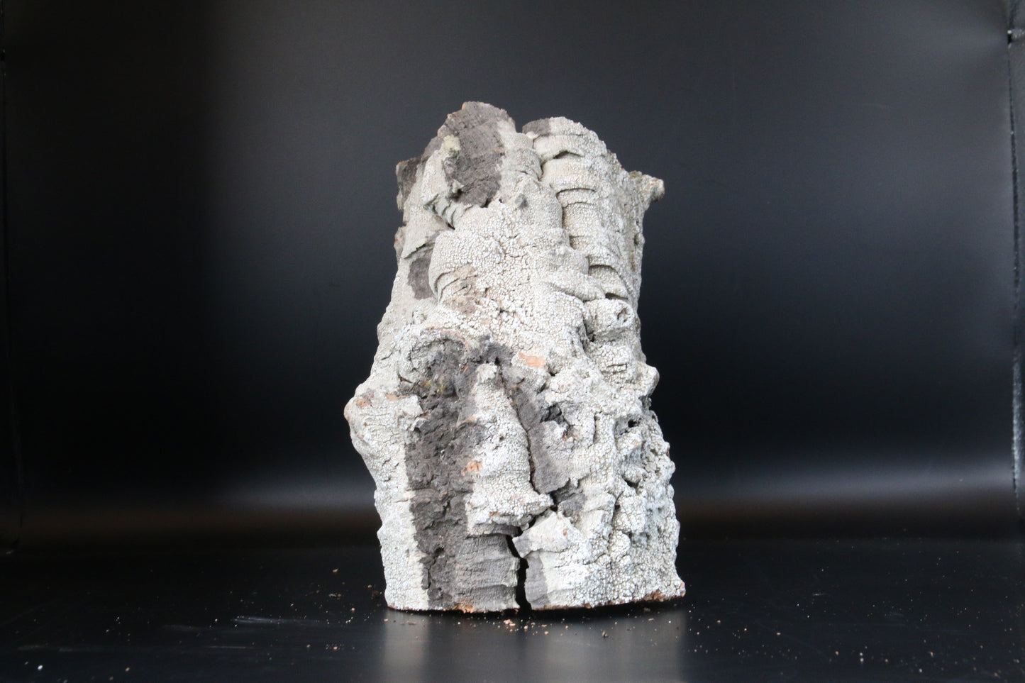 Cork Bark Tube