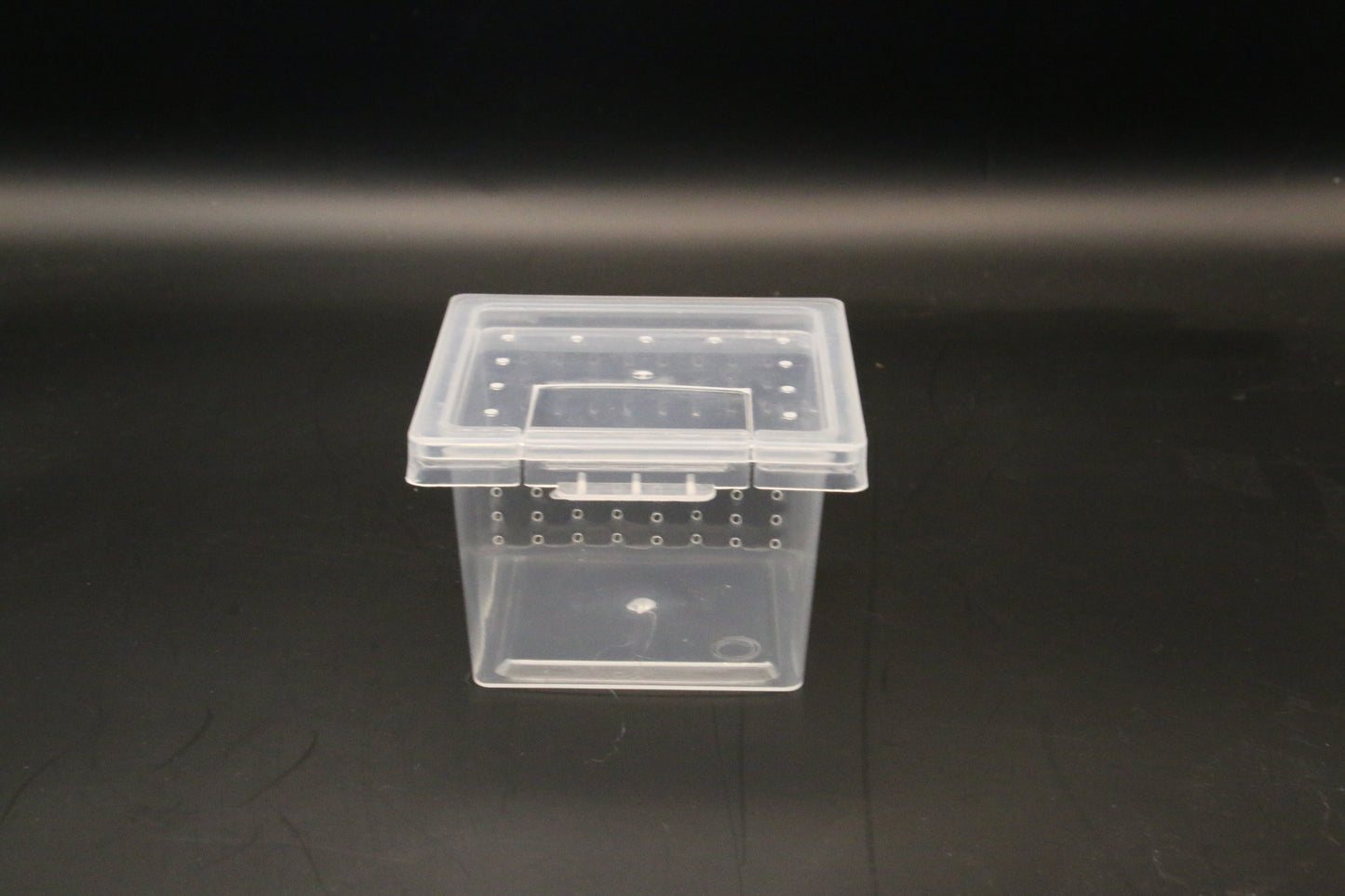 Mini Spiderling Box