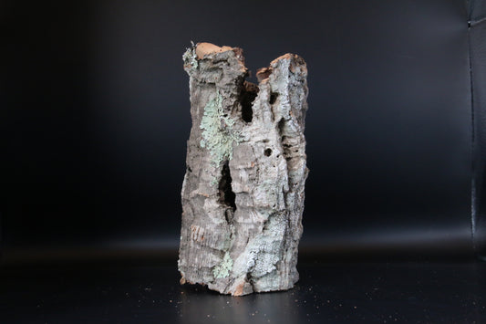 Cork Bark Tube