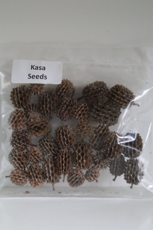 Kasa Seeds