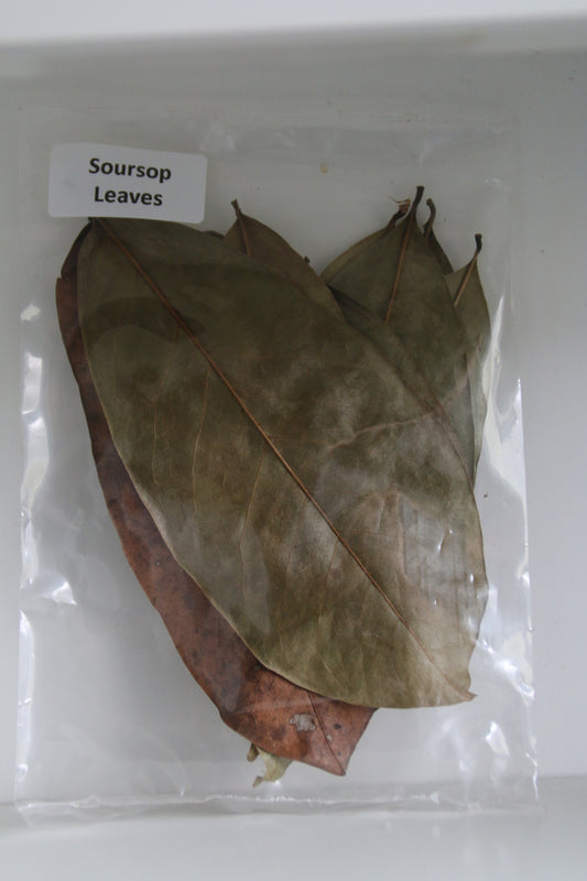 Soursop Leaves