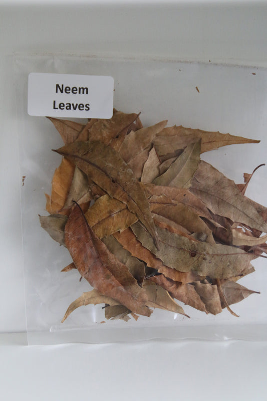 Neem Leaves