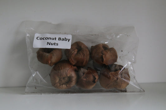 Coconut Baby Nuts